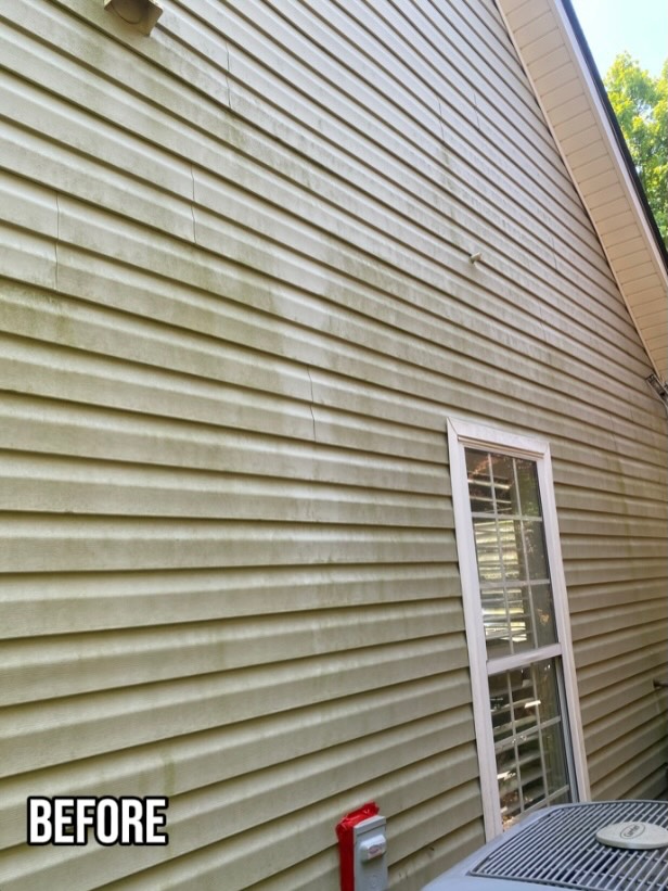Mildew-stained vinyl siding with window